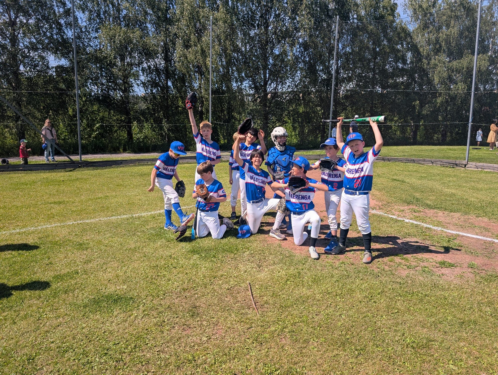 VIF Little League team